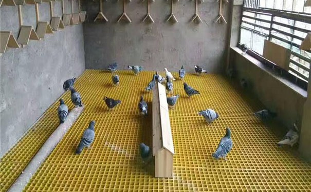 辽阳鸽子房用玻璃钢格栅使用安全